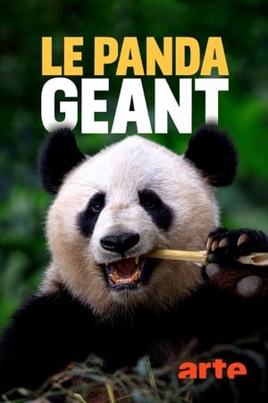 Image The Giant Panda