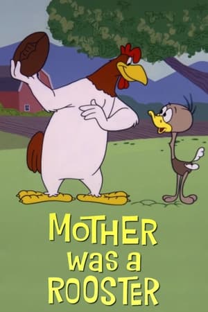 Image Il gallo è diventato mamma