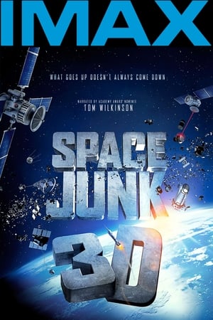 Image Space Junk 3D