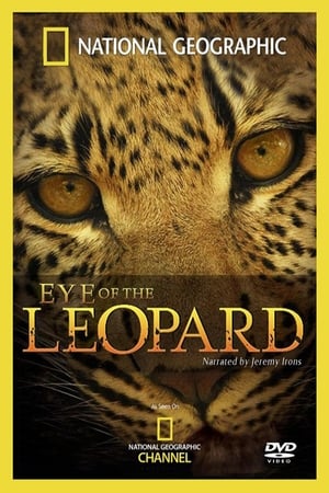 Image Eye of the Leopard