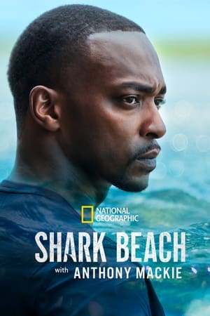 Image Shark Beach with Anthony Mackie