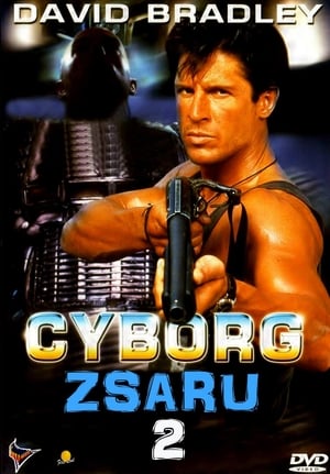 Image Cyborg zsaru 2.