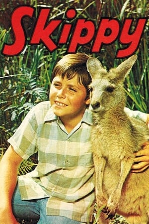 Image Skippy the Bush Kangaroo