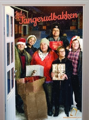 Image Jul i Tangerudbakken
