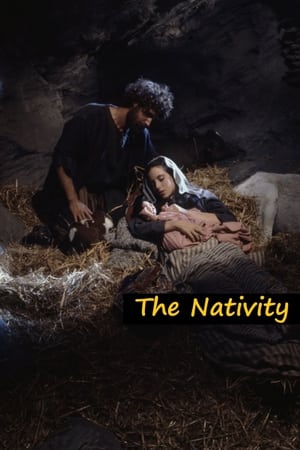 Image The Nativity