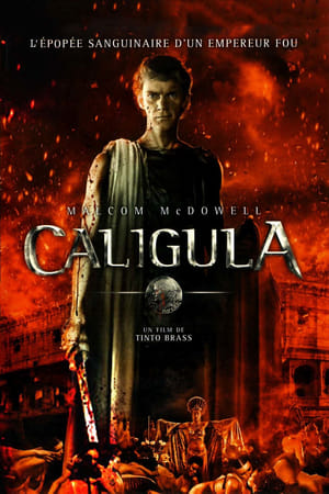 Image Caligula