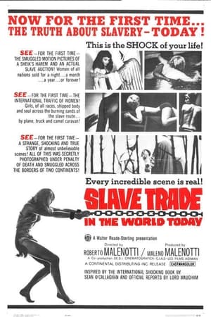 Image Slave Trade in the World Today