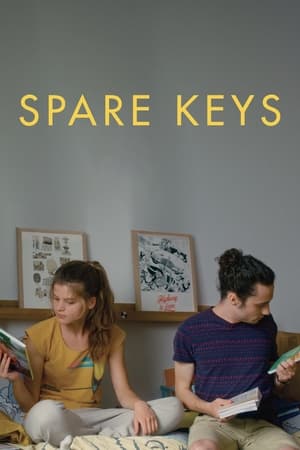 Image Spare Keys