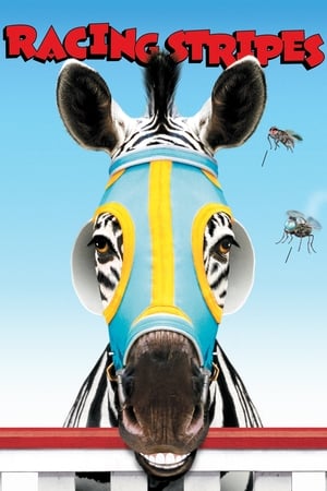 Image Striscia, una zebra alla riscossa