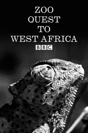 Image Zoo Quest to West Africa