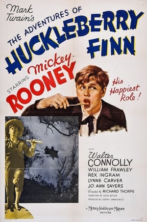 Image The Adventures of Huckleberry Finn