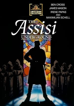 Image The Assisi Underground