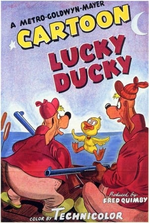 Image Lucky Ducky