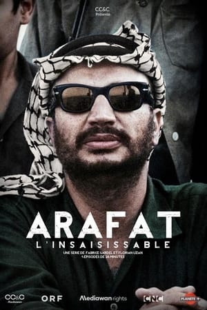 Image Unveiling Arafat