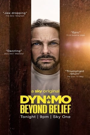 Image Dynamo: Beyond Belief