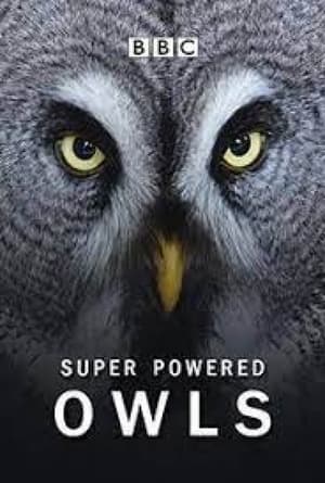 Image Super Powered Owls