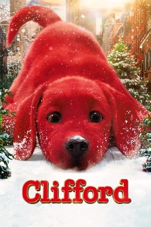 Image Clifford