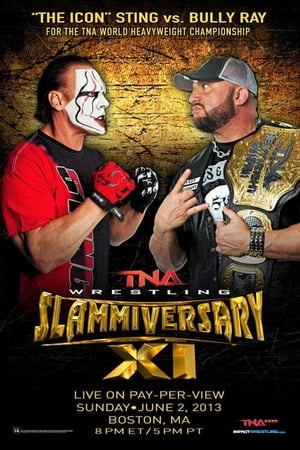 Image TNA Slammiversary XI