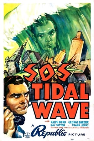 Image S.O.S Tidal Wave