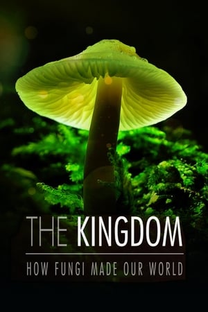 Image The Kingdom: How Fungi Made Our World