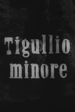 Image Tigullio minore