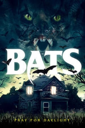 Image Bats