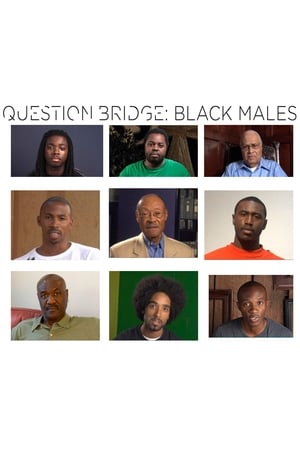 Image Question Bridge: Black Males