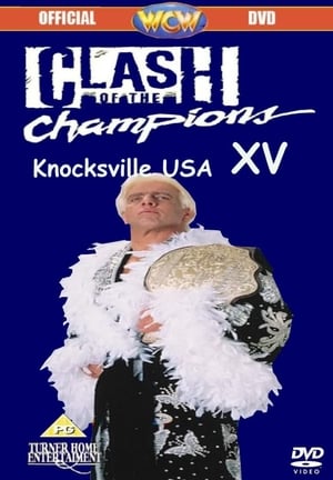 Image WCW Clash of the Champions XV: Knocksville USA