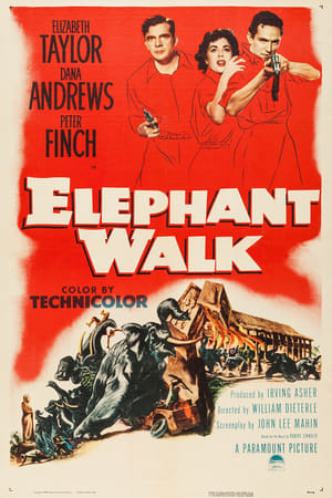 Image Elephant Walk