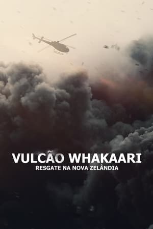 Image The Volcano: Rescue from Whakaari