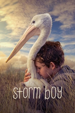 Image Storm Boy