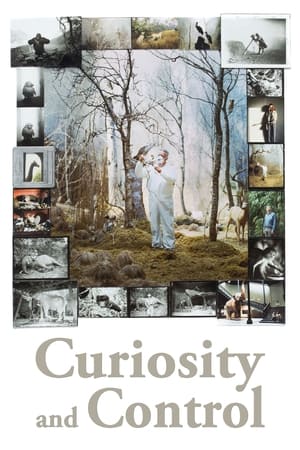 Image Curiosity and Control