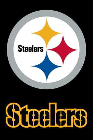 Image Pittsburgh Steelers
