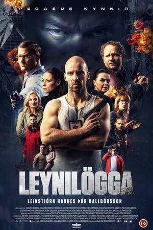 Image Leynilögga