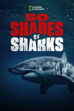 Image 50 Shades of Sharks
