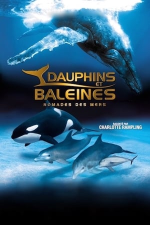 Image IMAX Dauphins et baleines : Nomades des mers