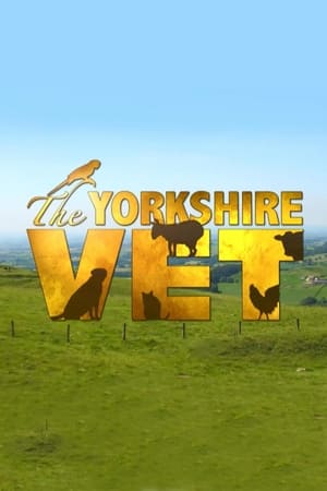 Image The Yorkshire Vet