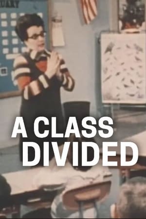 Image A Class Divided