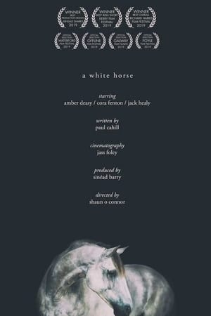 Image A White Horse