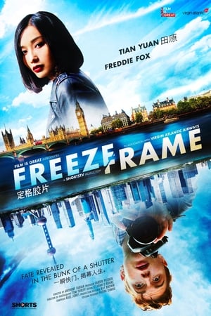 Image Freeze-Frame