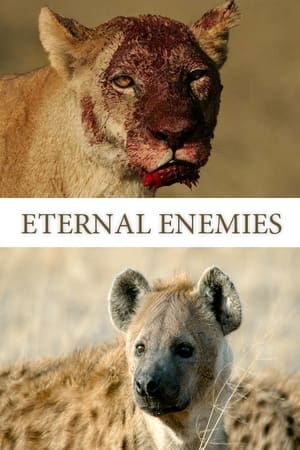 Image 国家地理：永恒的敌人 狮子和鬣狗