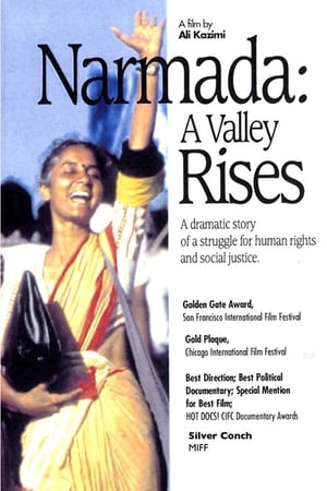 Image Narmada: A Valley Rises