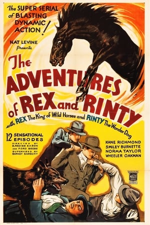Image The Adventures of Rex and Rinty