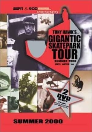Image Tony Hawk's Gigantic Skatepark Tour 2000