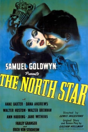 Image The North Star