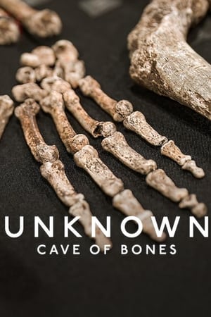 Image Неизведанное: Пещера костей