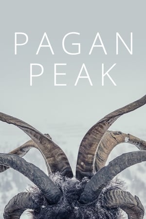 Image Pagan Peak / Der Pass