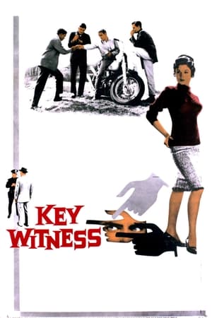 Image Key Witness