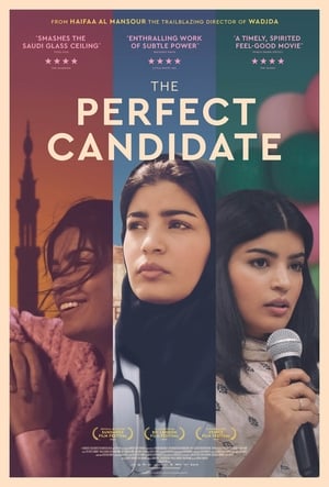 Image The Perfect Candidate