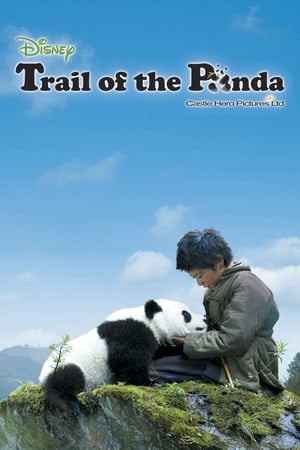 Image Trail of the Panda